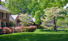 Best Realtor in Bergen County